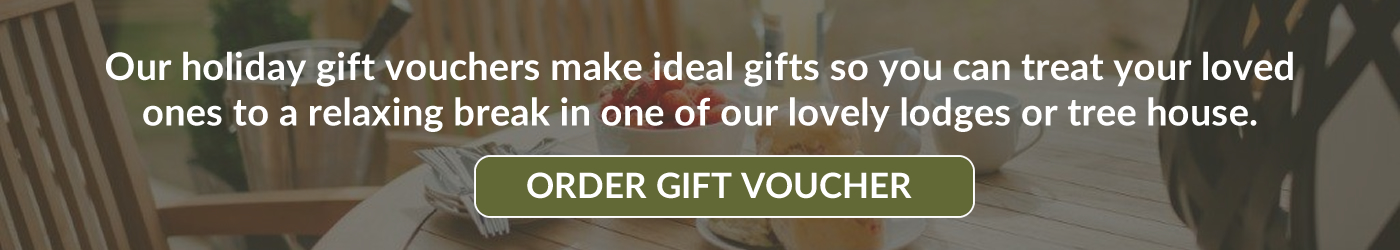 Holiday home gift vouchers
