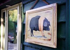 030_BensBurrow_IMG_8973